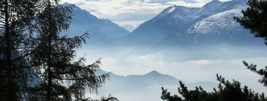 电话呼叫软件网页版